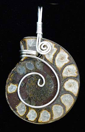 Indonesian Ammonite Pendant wire wrap