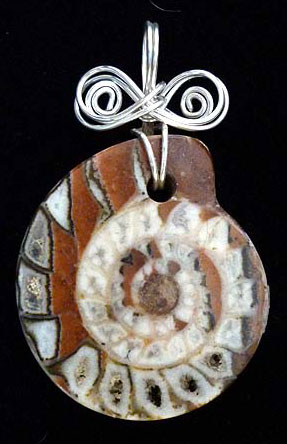 Ammonite slab pendant wire wrap